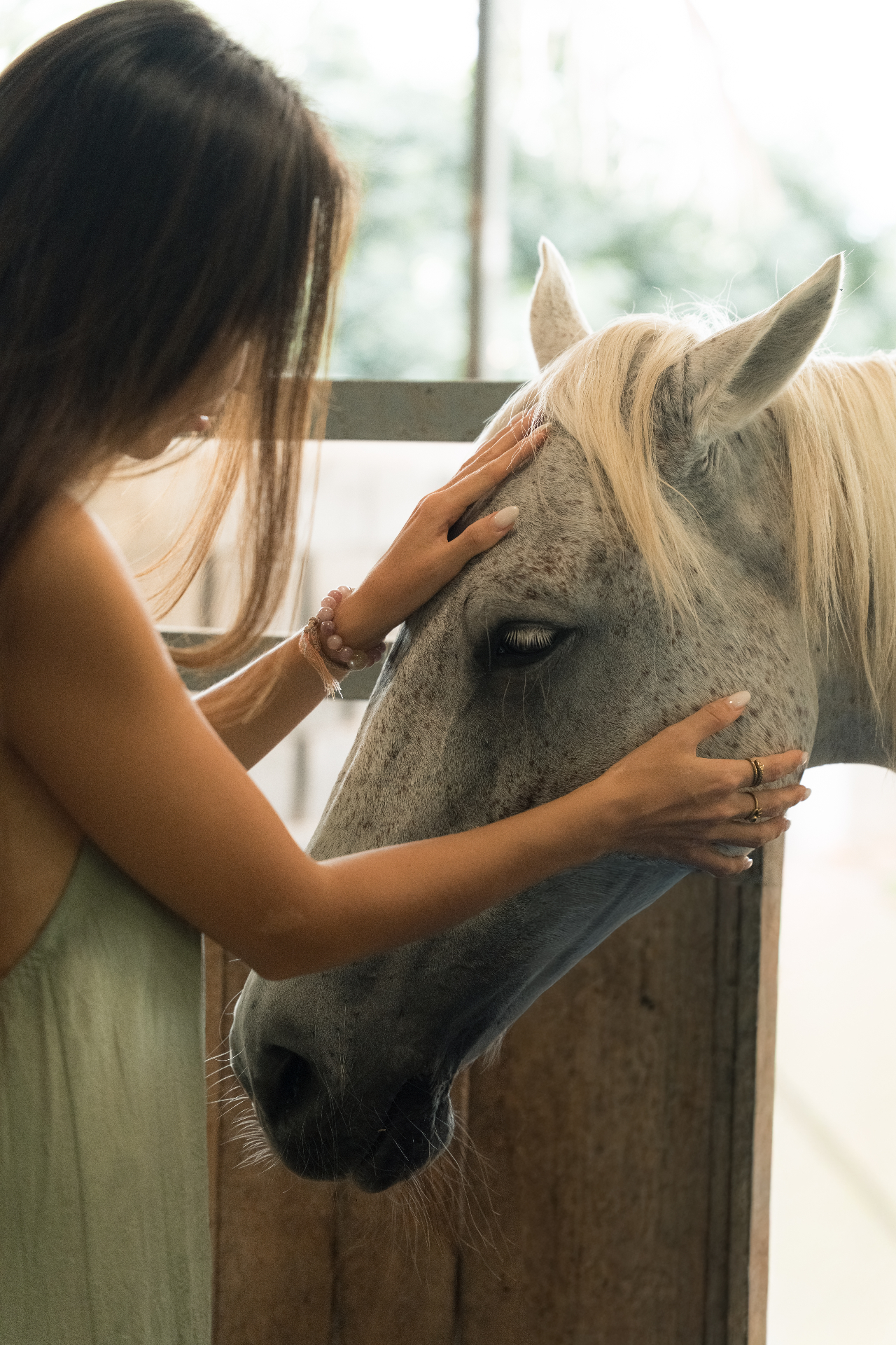 A moment with the horses