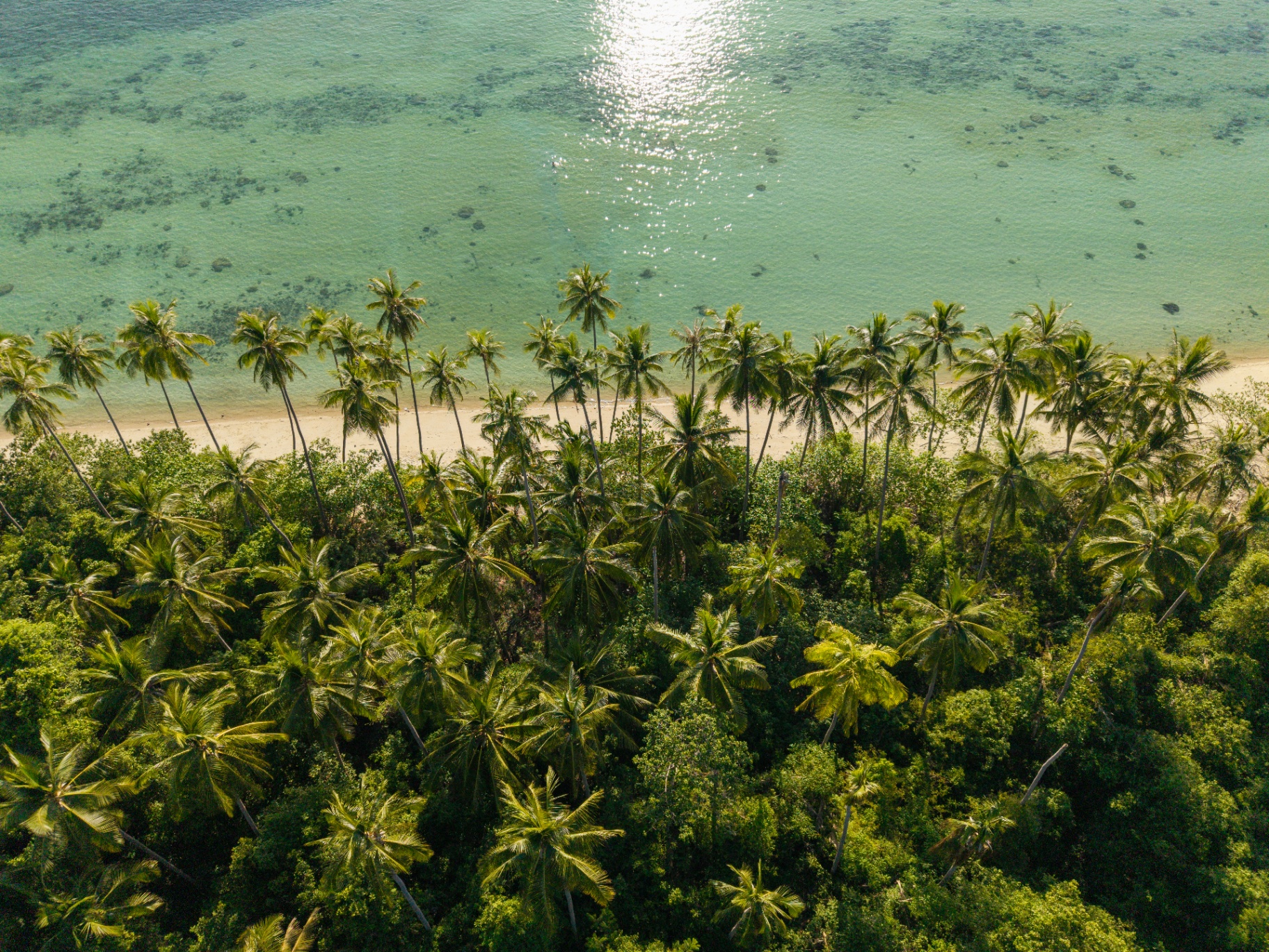 A walk on the beach