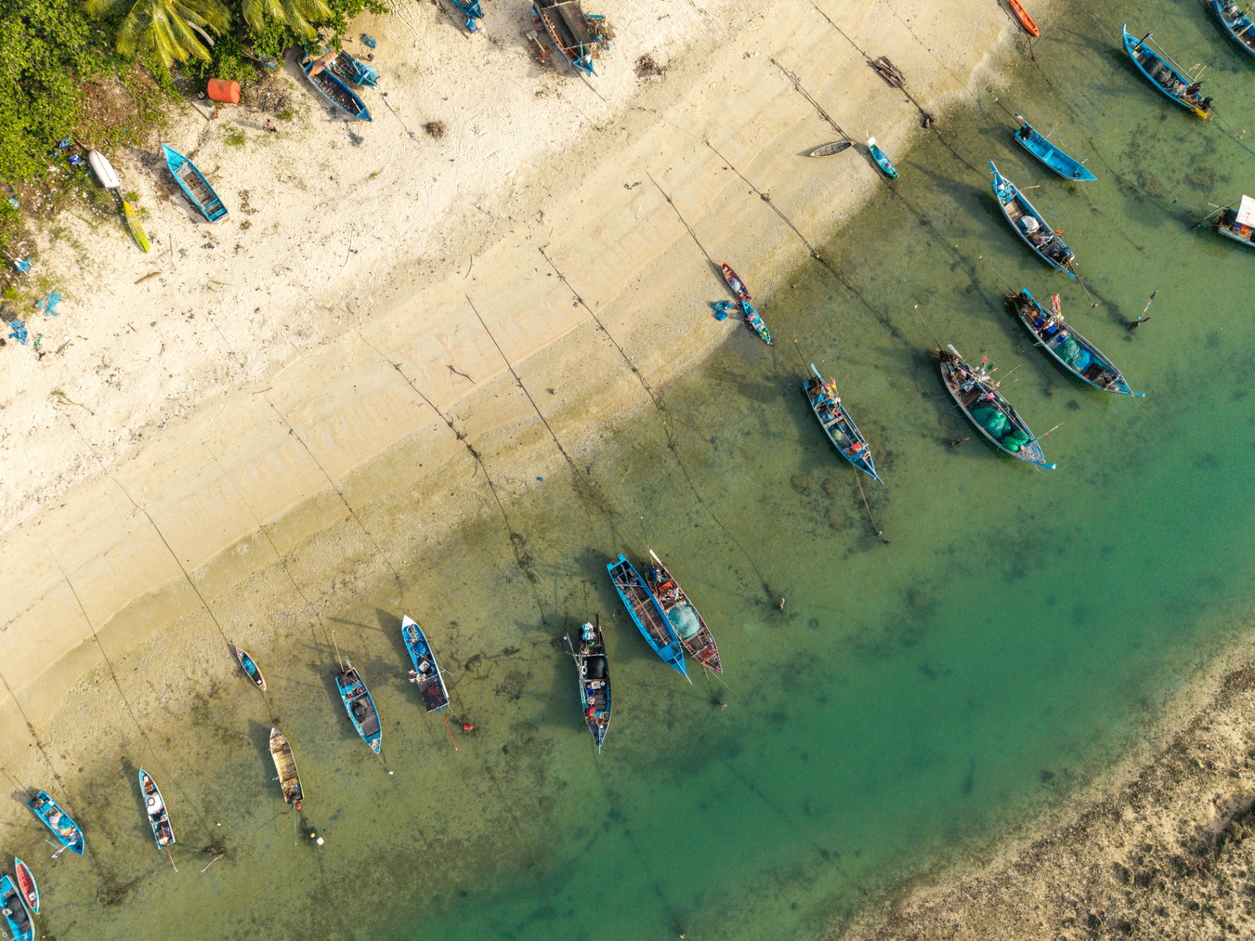 Aerial view of local fishing boats along the shore near ANODDA