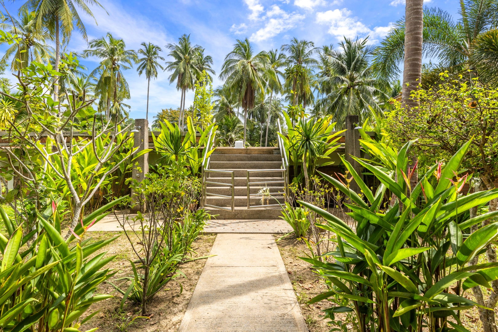 Garden path and stairs framed by tropical planting and palms