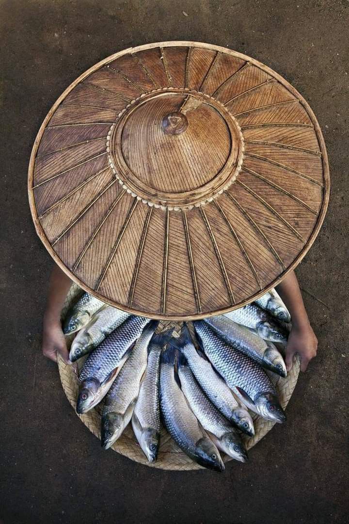 Fishing with the local fishermen