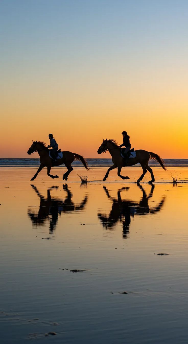 Horse Riding