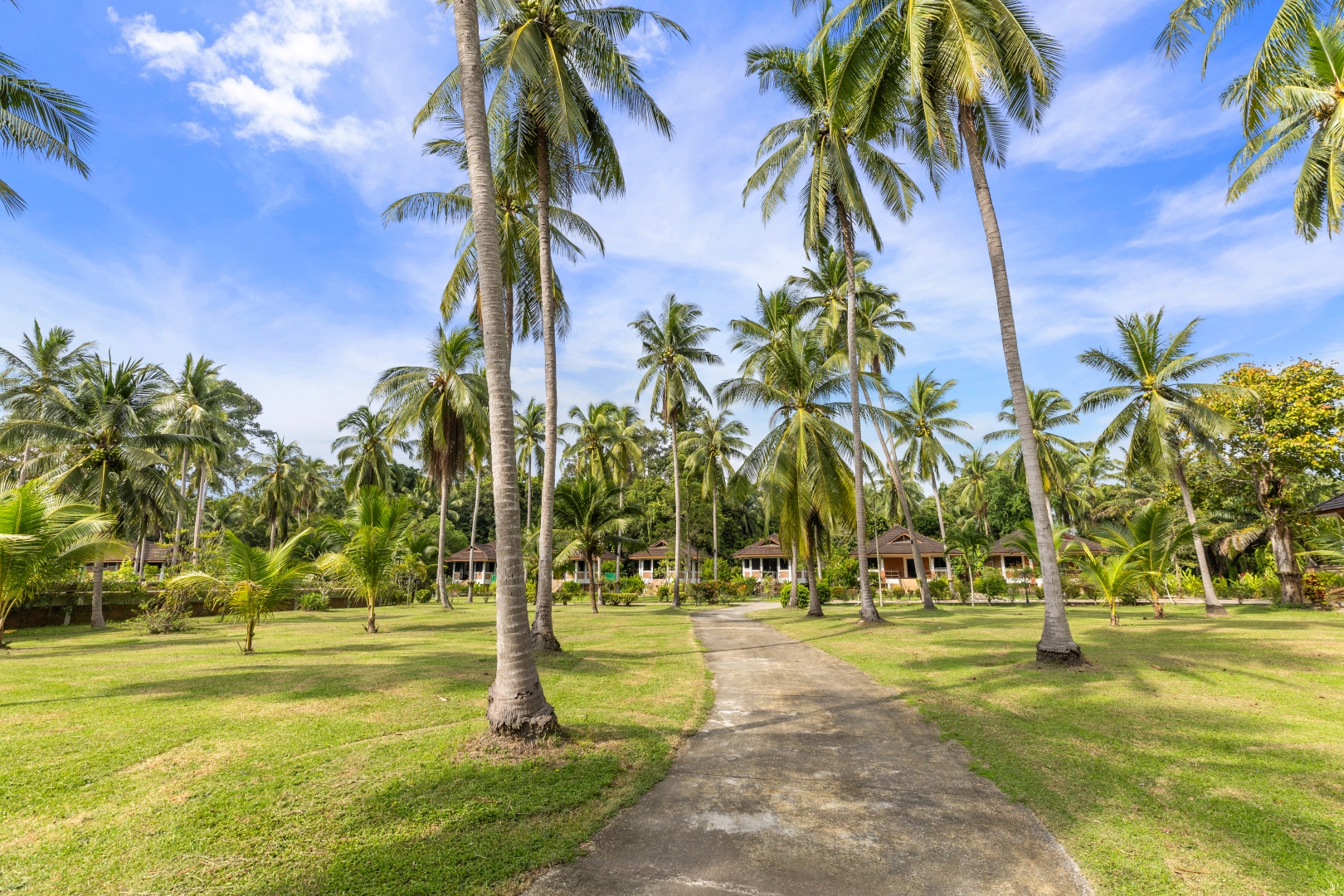 The One-Bedroom Villa 6