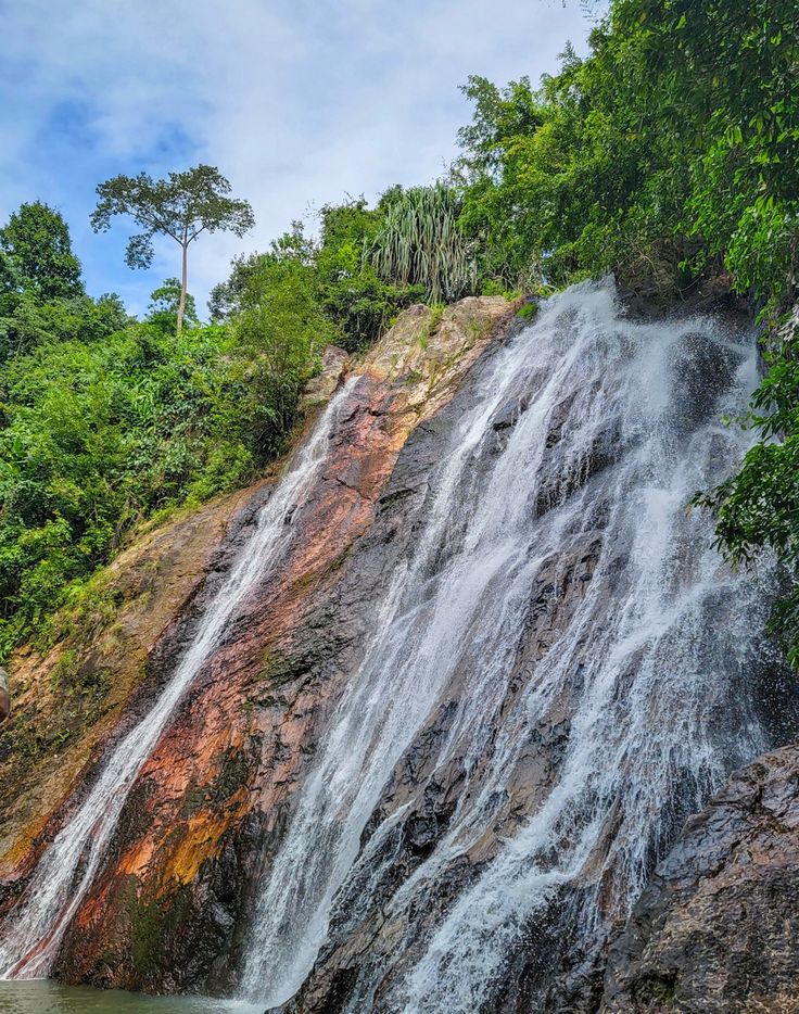 A waterfall in the jungle